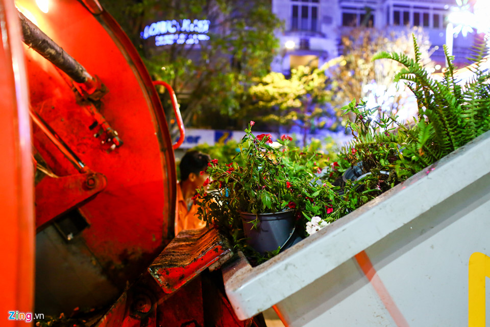 Nhiều người chờ đến khuya để xin hoa đêm bế mạc đường hoa Nguyễn Huệ